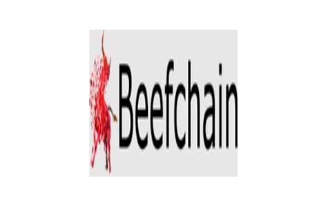 A marca Beefchain registrada no INPI está disponível para compra.