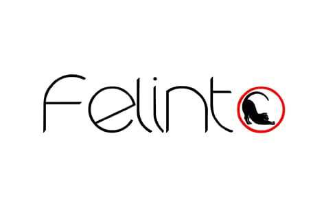 A marca Felinto registrada no INPI está disponível para compra.
