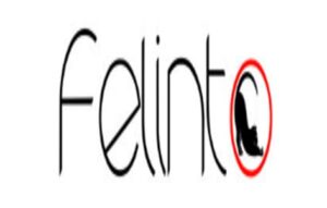 A marca Felinto registrada no INPI está disponível para compra.