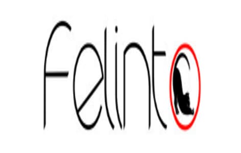 A marca Felinto registrada no INPI está disponível para compra.